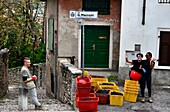 Weinlese in Isera über Rovereto, Trentino, Italien
