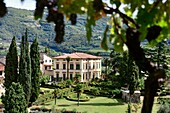 Valpolicella Weingebiet Blick auf Negrar bei Verona, Veneto, Italien