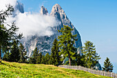 Blick von der Seiser Alm auf die Gebirgsgruppe Schlern, Compatsch, Südtirol, Alto Adige, Italien