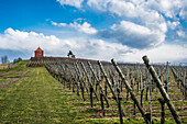 Weinberghäuschen auf dem Hochberg, bei Kippenhausen, Immenstaad,  Bodensee, Baden-Württemberg, Deutschland