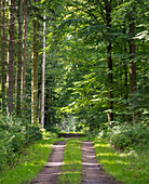Kaltenhofer Moor (Hochmoor, Naturschutzgebiet), Dänischer Wohld, Rendsburg-Eckernförde, Schleswig-Holstein, Deutschland