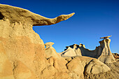 Felstürme aus weißem Sandstein, Bisti Badlands, De-Nah-Zin Wilderness Area, New Mexico, USA
