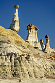 Felstürme aus weißem Sandstein, Bisti Badlands, De-Nah-Zin Wilderness Area, New Mexico, USA