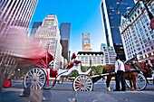 Horse carriage, next to Central Park, at left Apple store, Fifth Avenue, 59street, Manhattan, New York, New York City, United States, USA.