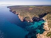 Natural area of special interest (ANEI) between Cap Salines and Cala Marmols, Santanyi, Mallorca, balearic islands, spain, europe.