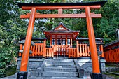 Torii shrine gate at Fushimi Inari Shrine, Kyoto, Japan.