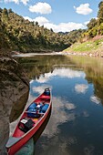 Whanganui River National Park. New Zealand.