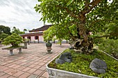 Bonsai garden at the Thien Mu Pagoda. Hue, Vietnam.