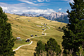 Peitlerkofel-trail, Dolomites, Alps, South Tyrol, Italy, Europe