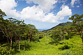 FRENCH POLYNESIA, Tahaa Island. A landscape and view of the lush vegetation of Tahaa Island.