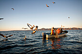 MEXICO, Baja, Magdalena Bay, Pacific Ocean, fishermen being swarmed by pelicans in the bay