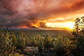 USA, Oregon, Bend, the smoke of the two bulls fire near Bend billows into the sky, turning it an array of colors