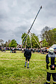 maypole, bavarian tradition, Bavaria, Germany, Europe