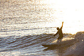 Surfer Catching A Wave In Kachemak Bay Near Homer, Southcentral Alaska, USA
