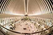 The Oculus Transit Hub; New York City, New York, United States Of America