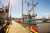 Fishing boats docked in a harbour along a wooden dock on the Atlantic coast; Newfoundland, Canada