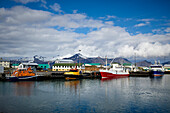 Colourful Boats In The Harbour And Buildings Along The Waterfront; Hofn, Iceland