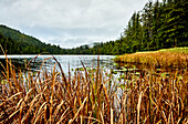 Eric Lake, Cape Scott Provincial Park; British Columbia, Canada