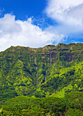 Beauty In Nature,Blue Sky,Cliff,Cloud,Colour Image,Day,Foliage,Forest,Green,Hawaii,Hawaiian Islands,Landscape,Lush,Makaleha Mountains,Nature,No People,Outdoors,Scenics,Travel Destinations,Tree,Tropical Climate,Vertical,Waterfall,Rugged,Color,Color Image,C