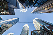 Skyscrapers in downtown Toronto; Toronto, Ontario, Canada