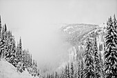 Forests on the mountains covered in snow in the fog, Whitewater Resort; Nelson, British Columbia, Canada