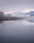 morning mood on the Lake Turnersee, Carinthia, Austria