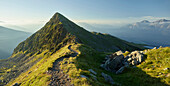 hiking trail on the Drau Valley, Lienz, Osttirol, Neualplschneid, Goisele, Tirol, Austria