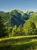 Pfan Nock, Platt Nock, Eisentalhöhe, close to the Nockberge National Park, Carinthia, Austria