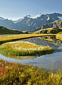 Mutterberger See, Wilder Freiger, Zuckerhütl,  Stubaier Alpen, Tirol, Österreich