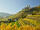 Burg Senftenberg, Kremstal, Niederösterreich, Österreich