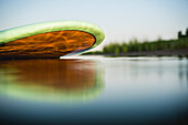 Paddle board in close up view, North Kingstown, Rhode Island, USA