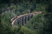 Aerial view of Famous Train on Nine arches bridge, Uva Province, Sri Lanka