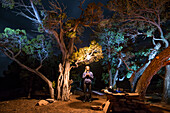 Camping at Sheiks Canyon near Grand Gulch area of Bears Ears National Monument, Utah, USA