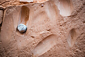 Grinding stone in Moon House ruins, Cedar Mesa, Bears Ears National Monument, Utah, USA