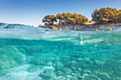 Half underwater photo with the sea bed and trees in Rena Bianca beach in Portisco (Olbia) Costa Smeralda, Olbia-Tempio province, Sardinia district, Italy