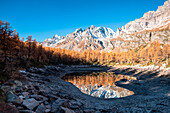 Snowy peaks are reflected in Lago Nero during the autumn, Alpe Devero, Province of Verbano Cusio - Ossola, Piedmont, Italy, Europe