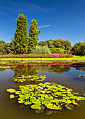Summer reflection in a ponds of Parco giardino Sigurtà, Valeggio sul Mincio, Verona province, Veneto, Italy, Europe