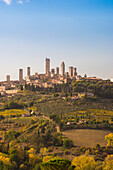 Historic centre of San Gimignano from vineyards in autumn, San Gimignano, Siena province, Tuscany, Italy, Europe