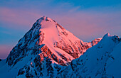 Gran Zebrù peak, Central Alps, Lombardy, Italy, Gran Zebrù peak at sunrise from Casati refuge