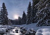 Winter night near Travignolo river, naturpark of Paneveggio - Pale di San Martino, Venegia valley, Trentino, Dolomites, Italy