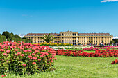 Vienna, Austria, Europe. The Great Parterre, the largest open space in the gardens of Schönbrunn Palace.