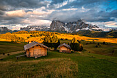 Alpe di Siusi/Seiser Alm, Dolomites, Kastelruth, South Tyrol, Italy.