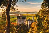 Neuschwanstein Castle in Autumn at sunset Europe, Germany, Bavaria, southwest Bavaria, Fussen, Schwangau