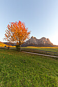 Sciliar and Punta Santner seen from meadows around Castelrotto, Seiser Alm, Bolzano province, South Tyrol, Italy