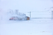 Snowplow of Bernina Express train during a snow storm, canton of Graubünden, Engadin Valley, Switzerland