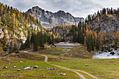 Pozzoi hut Europe, Italy, Trentino Alto Adige, Trento district, Non Valley, Ville d'Anaunia