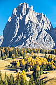 Alpe di Siusi with Mount Sassolungo and Mount Sassopiatto on yhe background, South tyrol, Italy