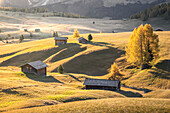 Alpe di Siusi, South Tyrol, Italy