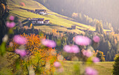 Funes Valley, Bolzano Province, Trentino Alto Adige, Italy