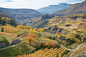 View of Cembra Valley in autumn, Trentino District, Italy